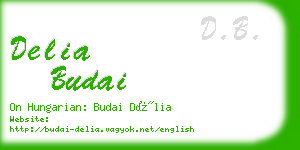 delia budai business card
